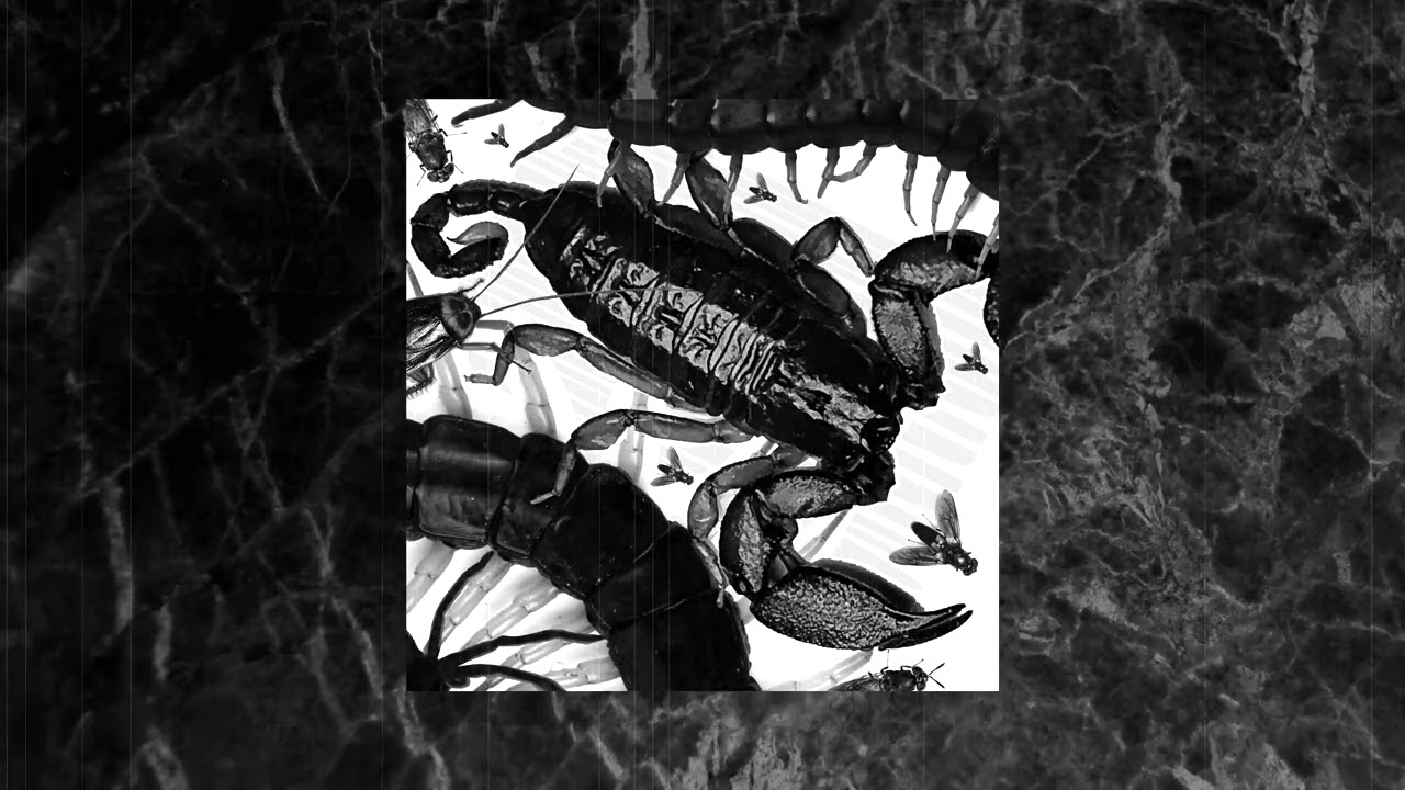 SZENARIO - MAMBABARANG