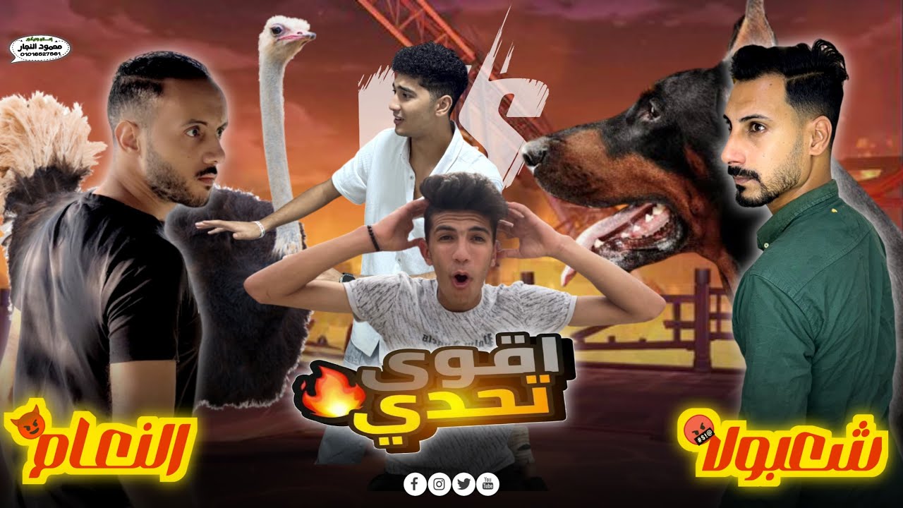 أقوي مواجهه بين شعبولا والنعام || وعمر احمد وحكيم سعدوني في نجاح الخطه😱