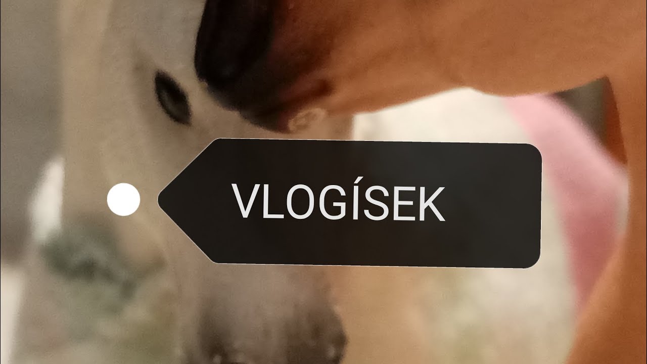 Schleich vlogísek