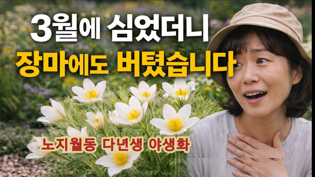 버티는 꽃은 다릅니다  노지월동 다년생 야생화   꽃농부 추천