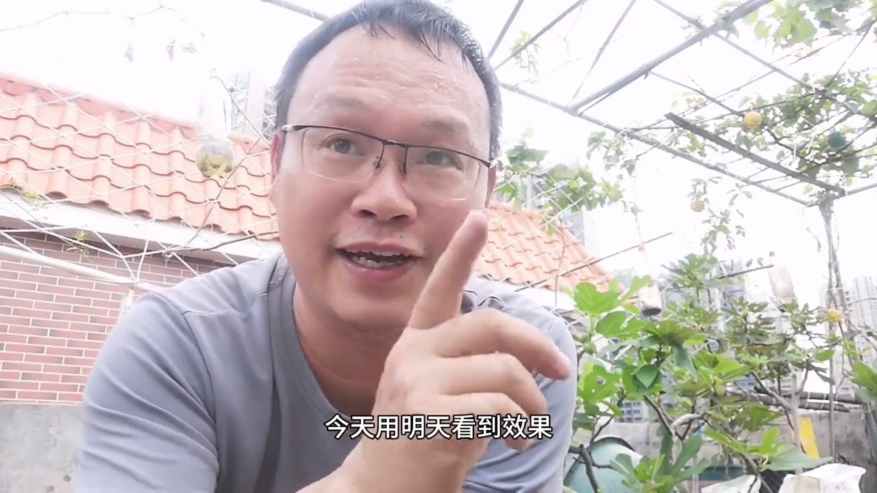 鸡粪，你会用吗？方法正确，比羊粪牛粪效果好