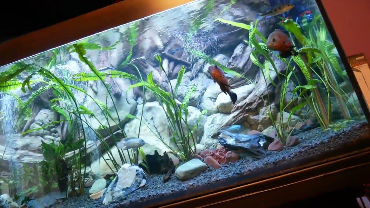 Akwarium 600 l Cały osprzęt co warto a co Odradzam!