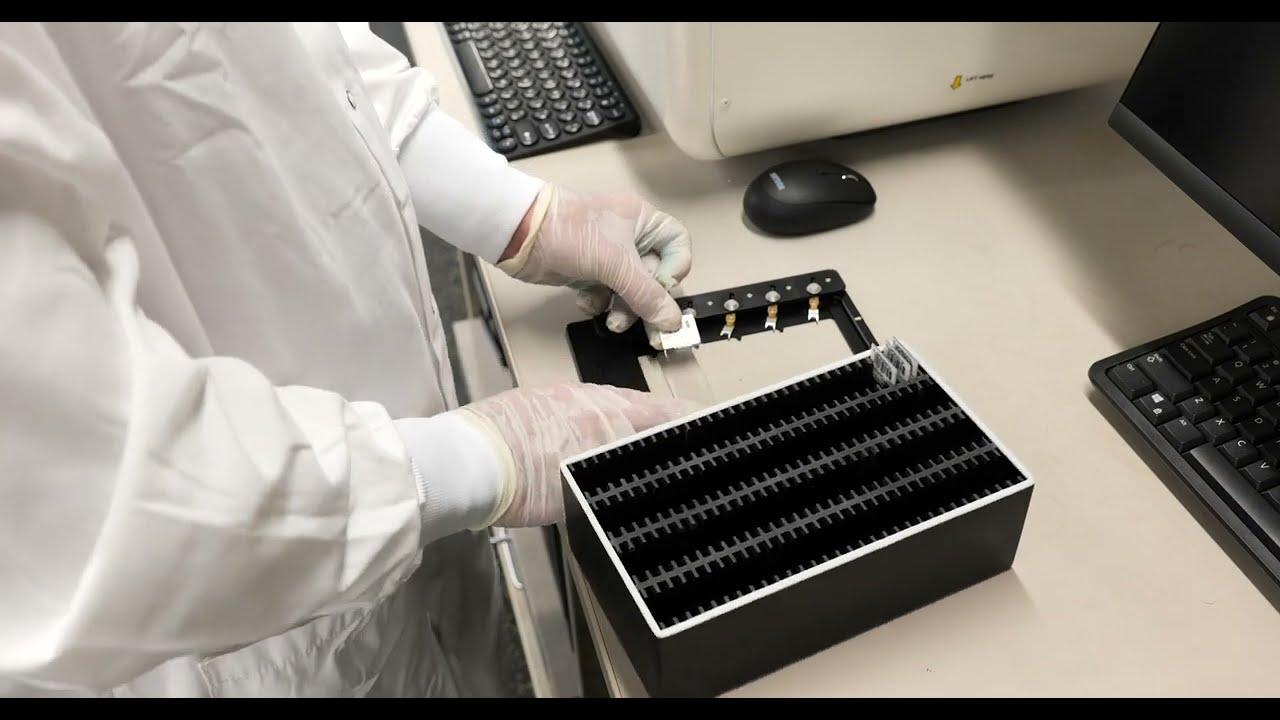 Pramana Technology in Action