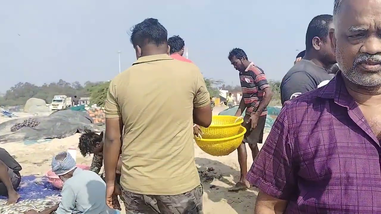 மக்களே 5 வகை மீன் ஏலம் வாங்க பார்க்கலாம் #thoothukudimeenavarponnu 