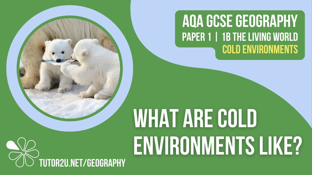 What are Cold Environments Like? | AQA GCSE Geography | Cold Environments 1