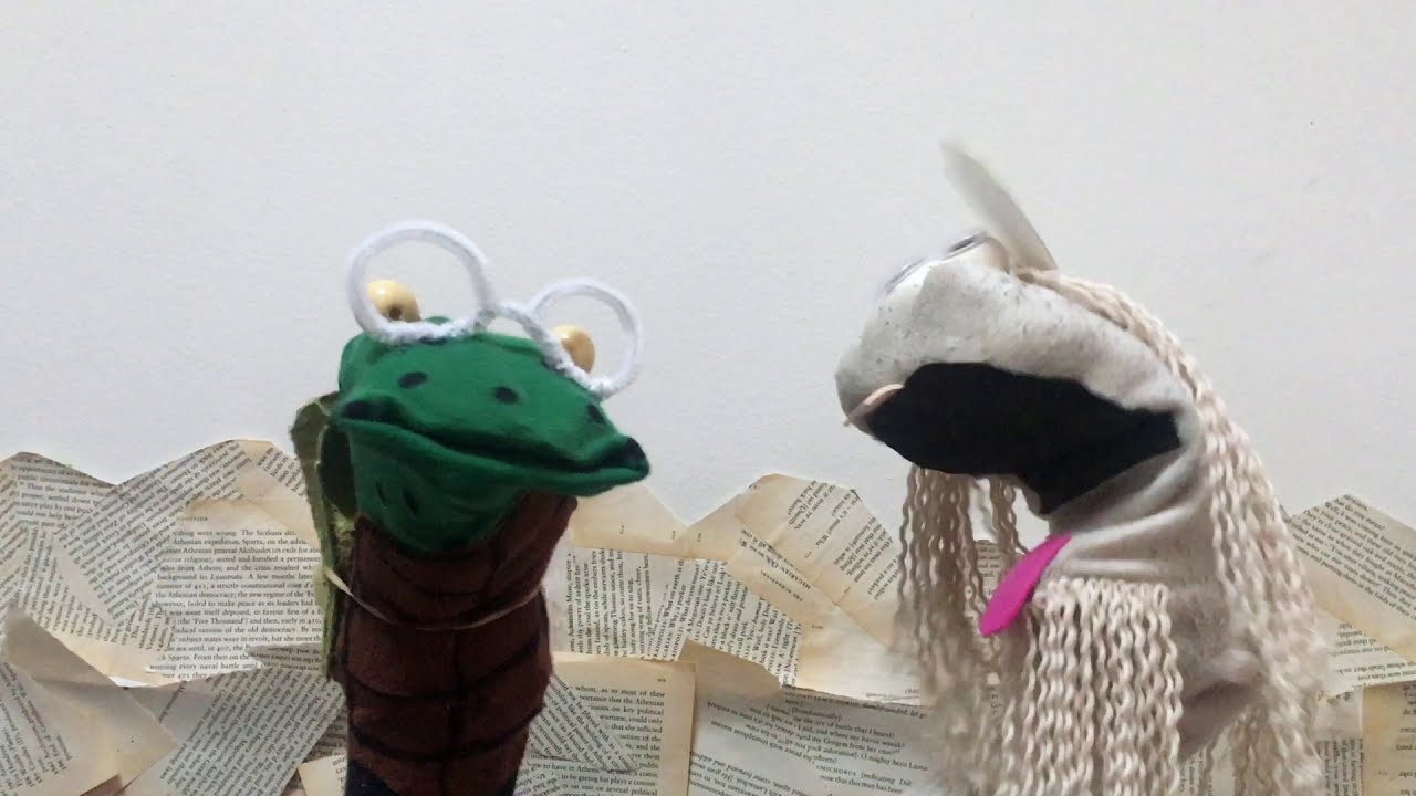 The Tortoise and the Hare | Sockz Studio | Sock Puppets