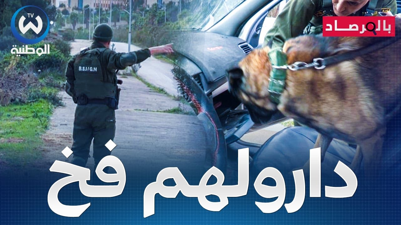 في مشاهد تحبس الأنفاس.. الدرك يضع كمين محكم لتوقيف عصابة خطيرة تتاجر في المخدرات