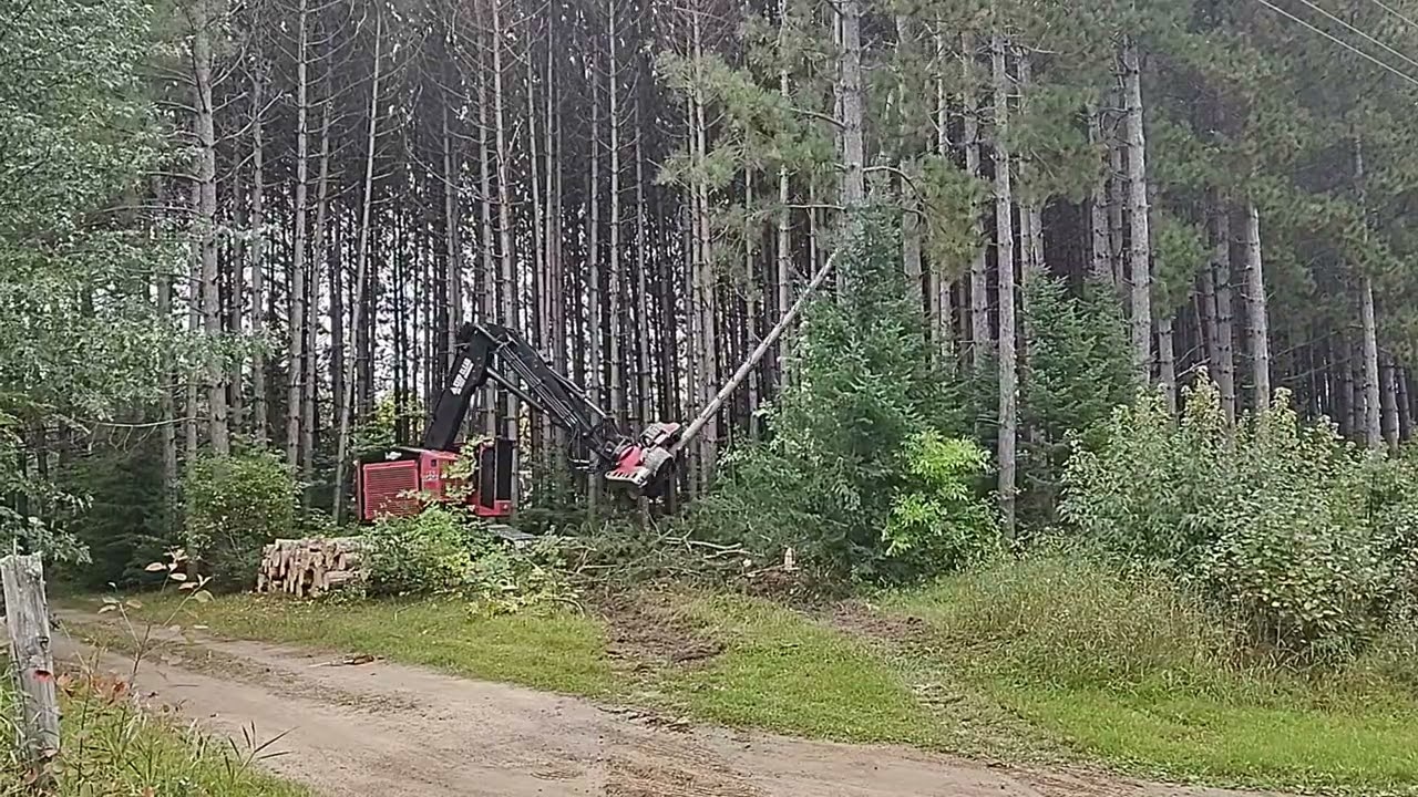 Timberpro 725C Logmax 7000xt