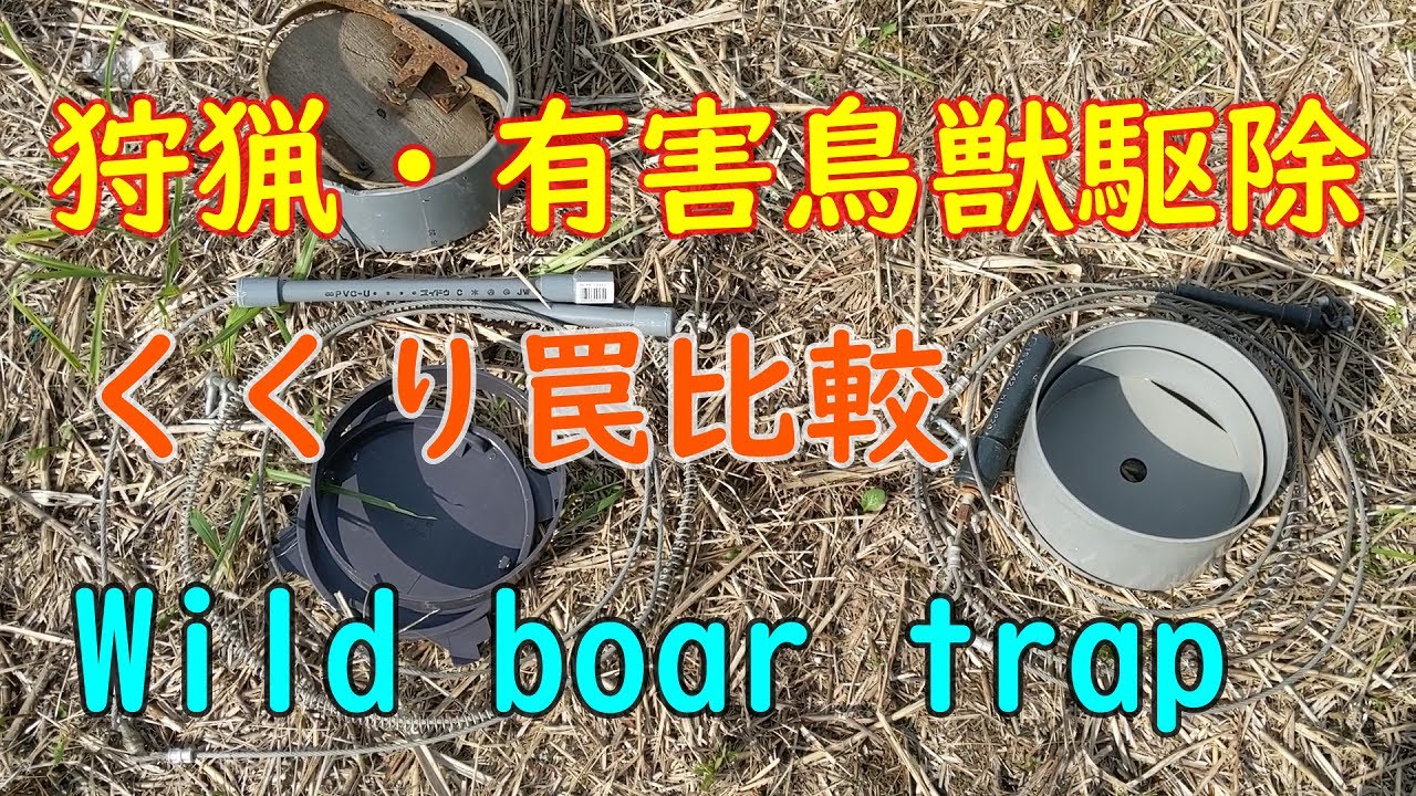 20201013　【狩猟　有害鳥獣駆除】　くくり罠比較　Wire trap Compare　Wild boar trap