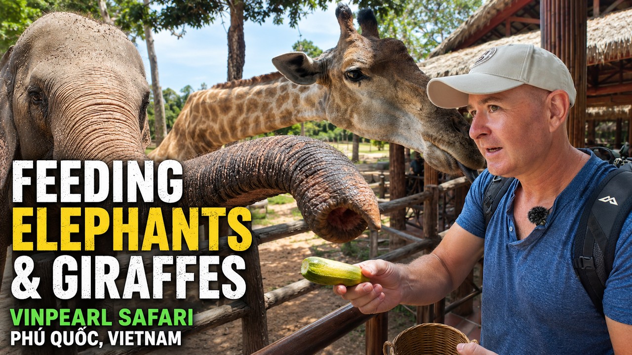 Cheap Vietnam Vinpearl Safari Phú Quốc  walking tour