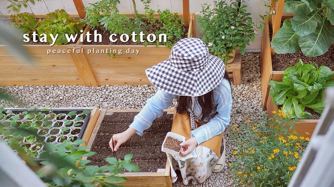 Посадка небольшого огорода на заднем дворе 🌱🌼 | Свежий урожай и корейское барбекю 🥓 | Видеоблог