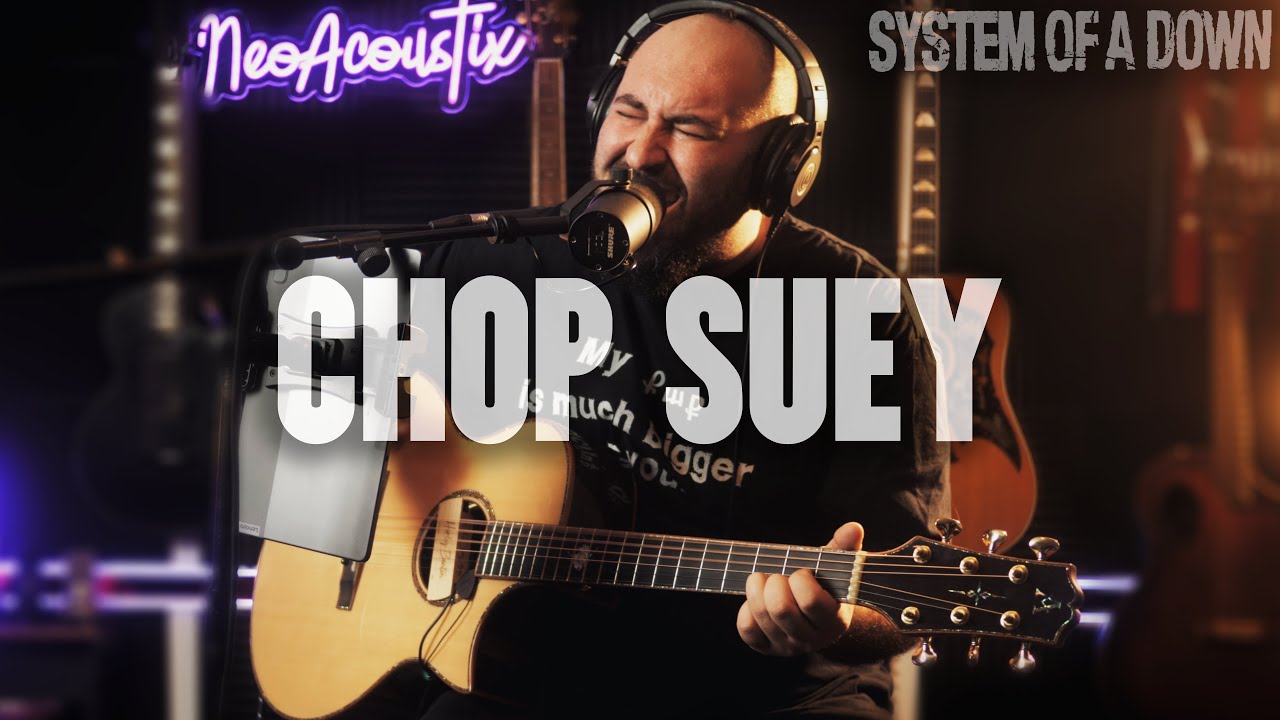 System Of A Down - Chop Suey Acoustic Guitar Cover