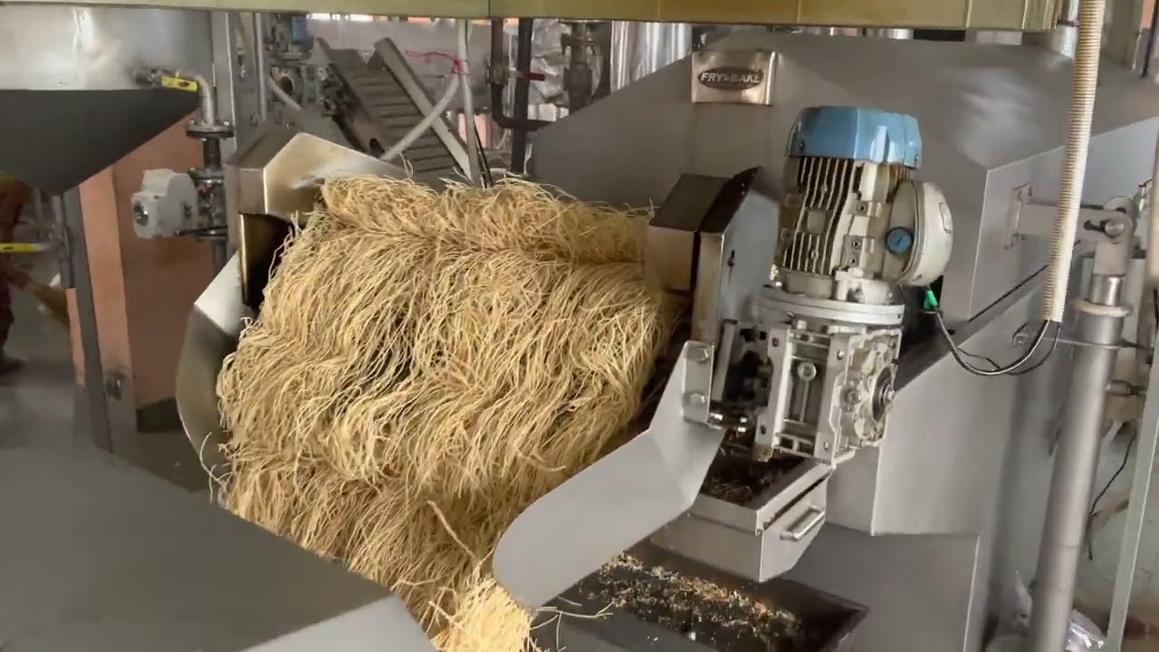 500KG/Hr Namkeen Frying Line in operation