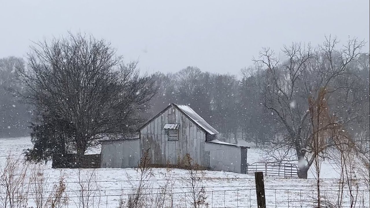 START OF SNOW STORM IN NORTH CAROLINA 1-31-26
