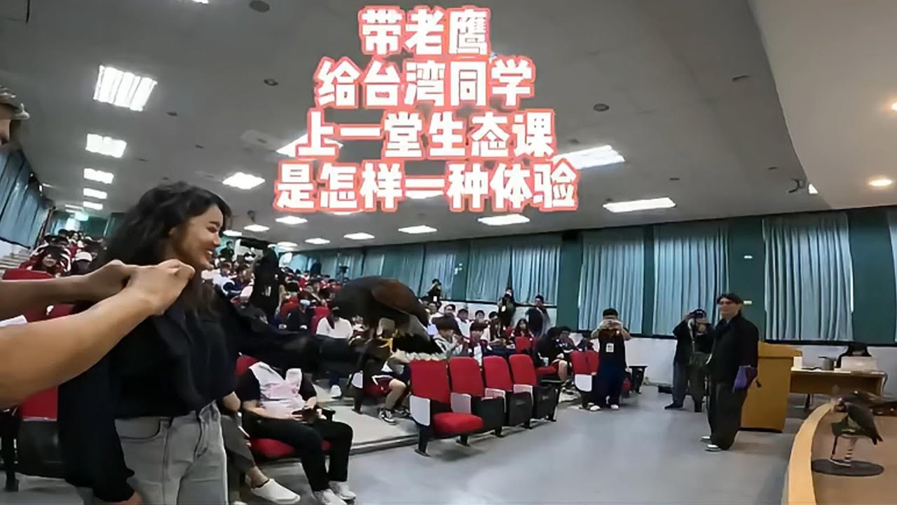 今天不外送！带老鹰去给台湾同学上一次生态体验课是什么感受？