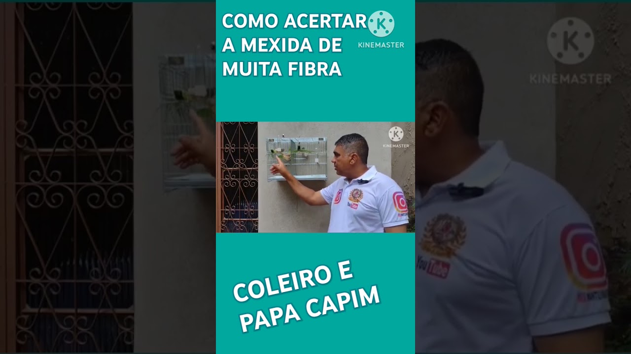 COMO ACERTAR A MEXIDA DE MUITA FIBRA DE COLEIRO E PAPA CAPIM