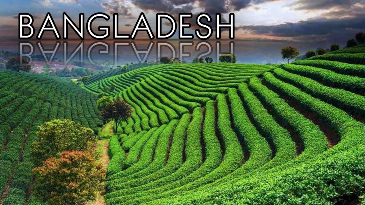 4k in Bangladesh || Green Country in Bangladesh || বাংলাদেশ || Explore bangla 