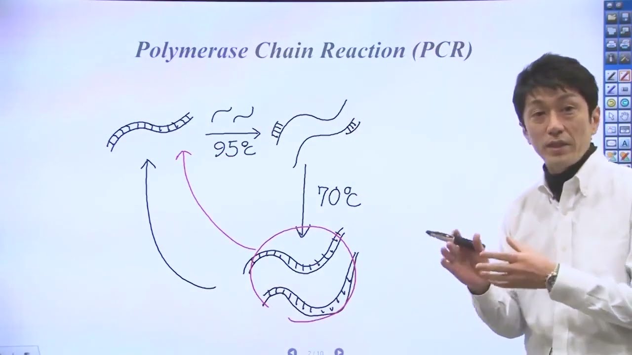 Unit 3 Part 6   PCR Applications