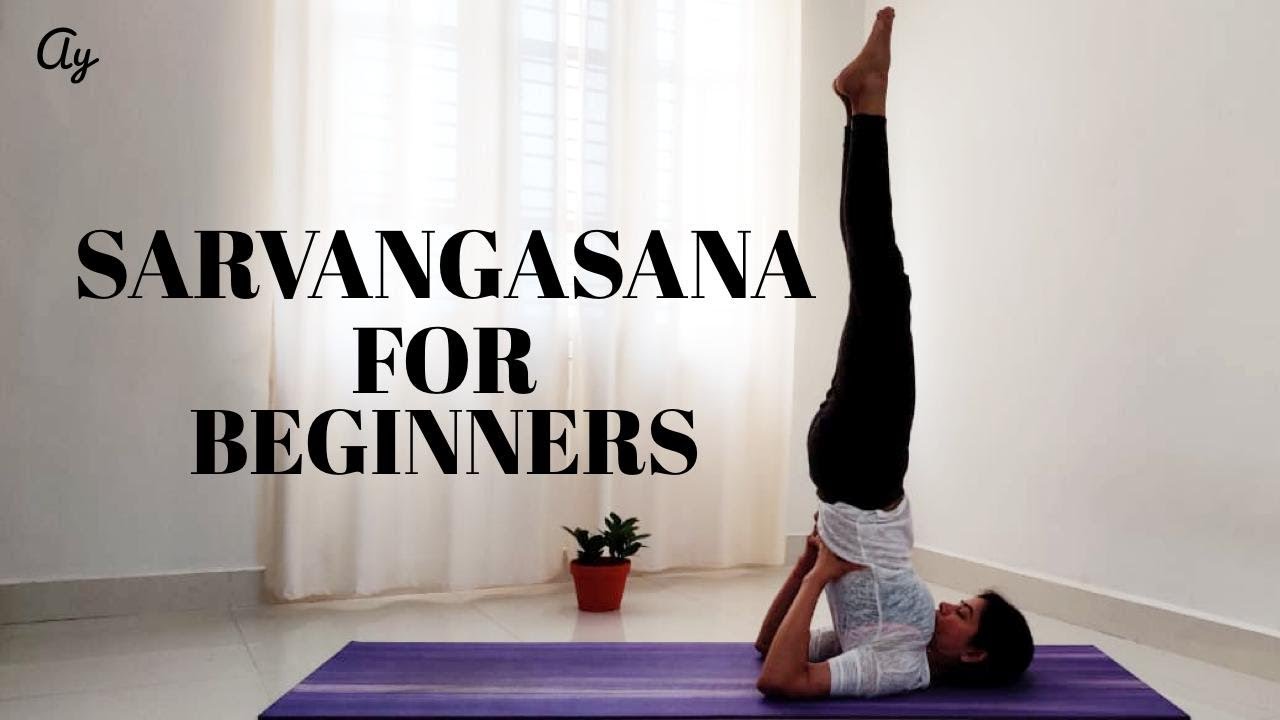 How to Sarvangasana with Preparatory poses for beginners ll Archie's Yoga