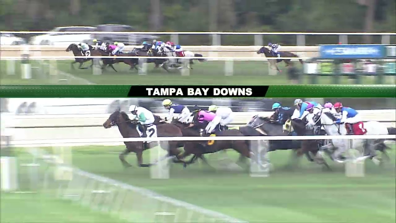 March 13, 2026  Race 9