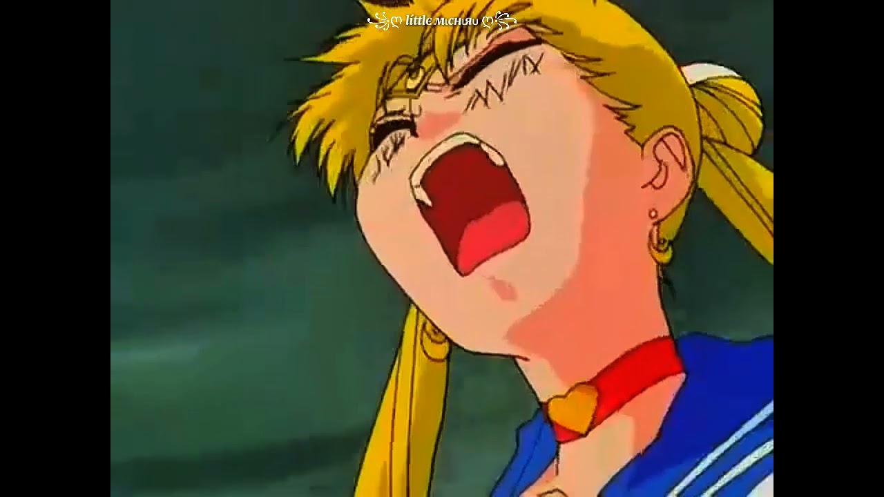 Sailor Moon | AMV | Takedown