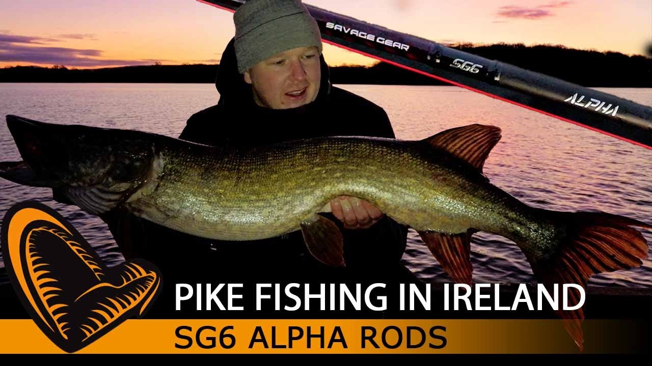 Alpha SG6 - Pike Fishing in Ireland - Ryan O'Donoghue