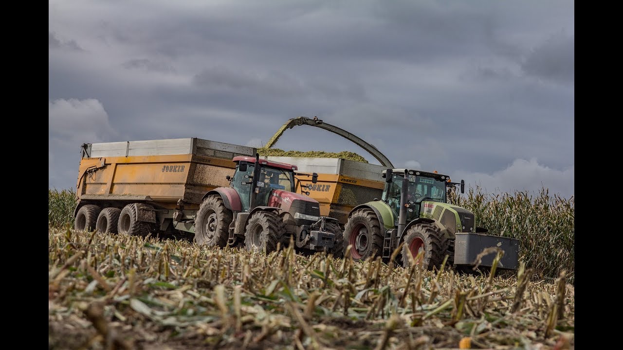Maishäckseln 2017 | Claas Jaguar 970 | Zwillingsreifen | Claas Axion 830 | Joskin Cargo