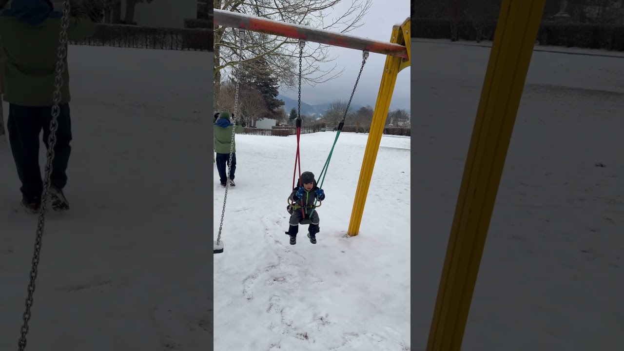 Swinging on a snowy day ❄️❄️❄️ #snow #schnee #winter #shorts