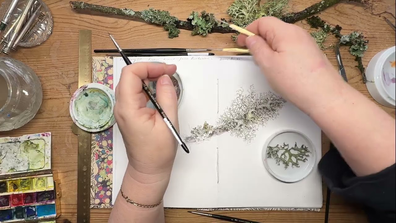 Lichen Branch Sketchbook Page, February 2026
