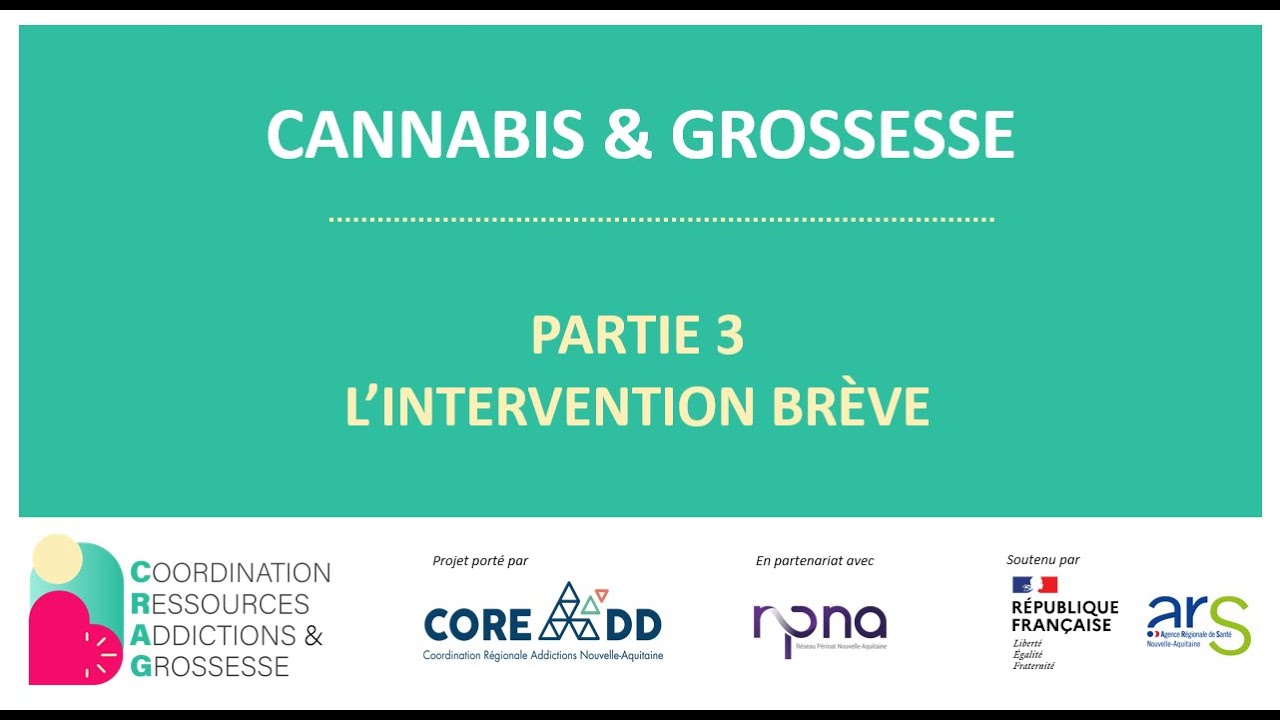 CANNABIS & GROSSESSE | Partie 3 :  L’intervention brève
