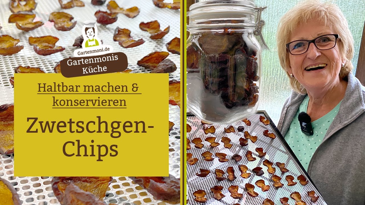 Gesunde Zwetschgen-Chips selber machen - D&ouml;rr-Obst als Vitaminbomben im Winter | Obst haltbar machen