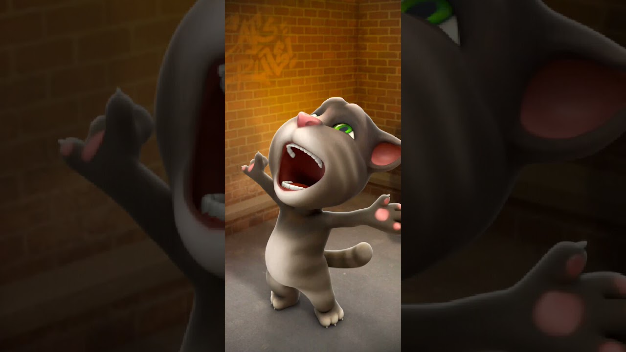 Talking Tom Cat New Video Best Funny Android GamePlay #9985