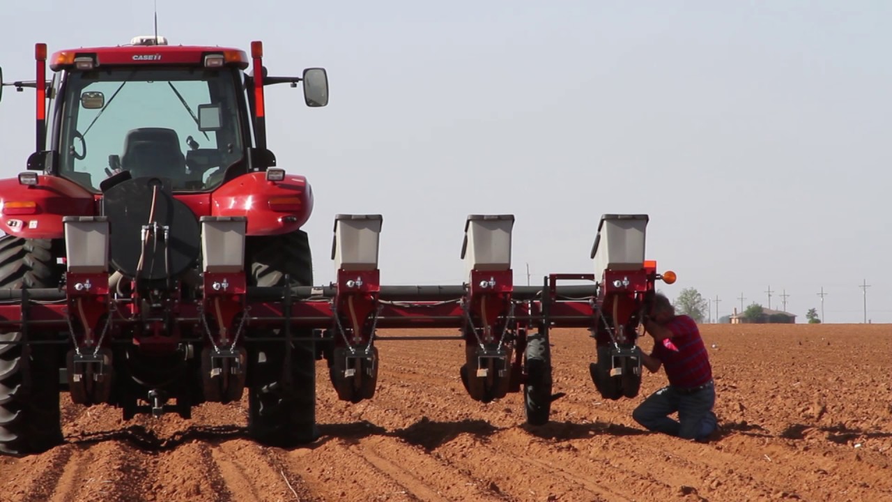 Sugarcane Aphid Management - Pre-plant Decisions