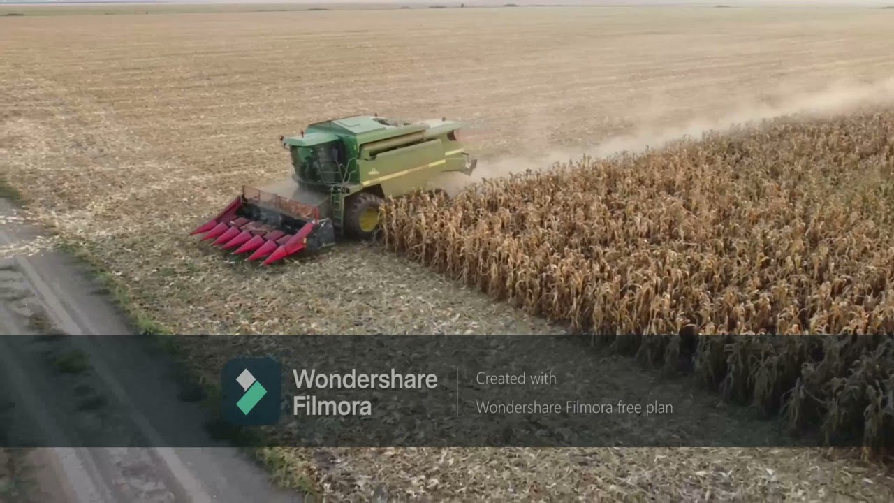 Corn harvest/Žetva kukuruza 2021| John Deere 2256