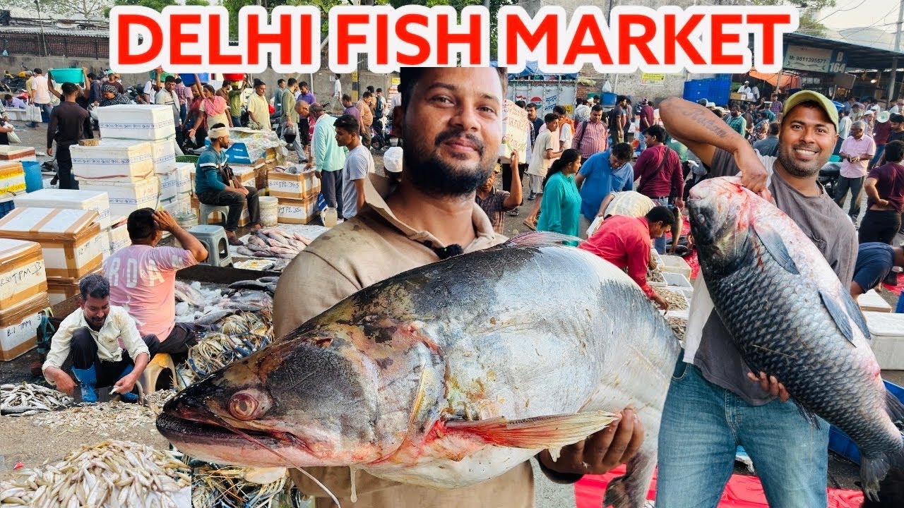 Ghazipur fish market rate today| ghazipur mandi fish market |ghazipur machli mandi|गाजीपुर मछली मंडी