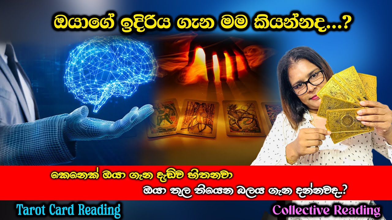 ඔයාගේ ඉදිරිය ගැන මම කියන්නද...?.Shall I Tell You About Your Future? Tarot Reading Insights