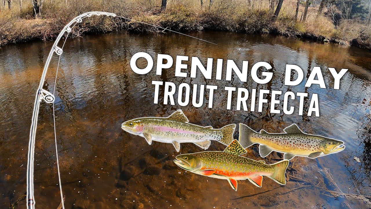 Открытие сезона ловли форели в Пенсильвании в 2026 году! (Форельная тройка)