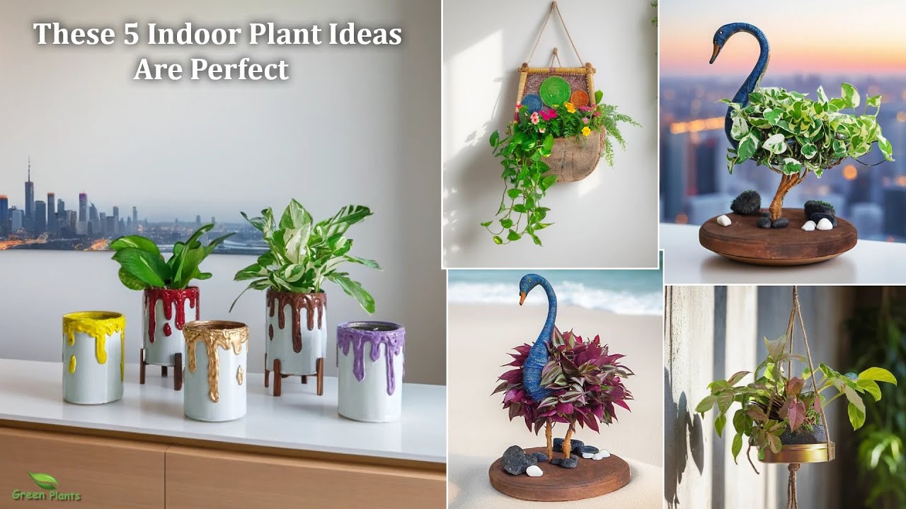These 5 Indoor Plants Ideas Are Perfect for a Fresh Home Look | Easy & Low Maintenance//GREEN PLANTS