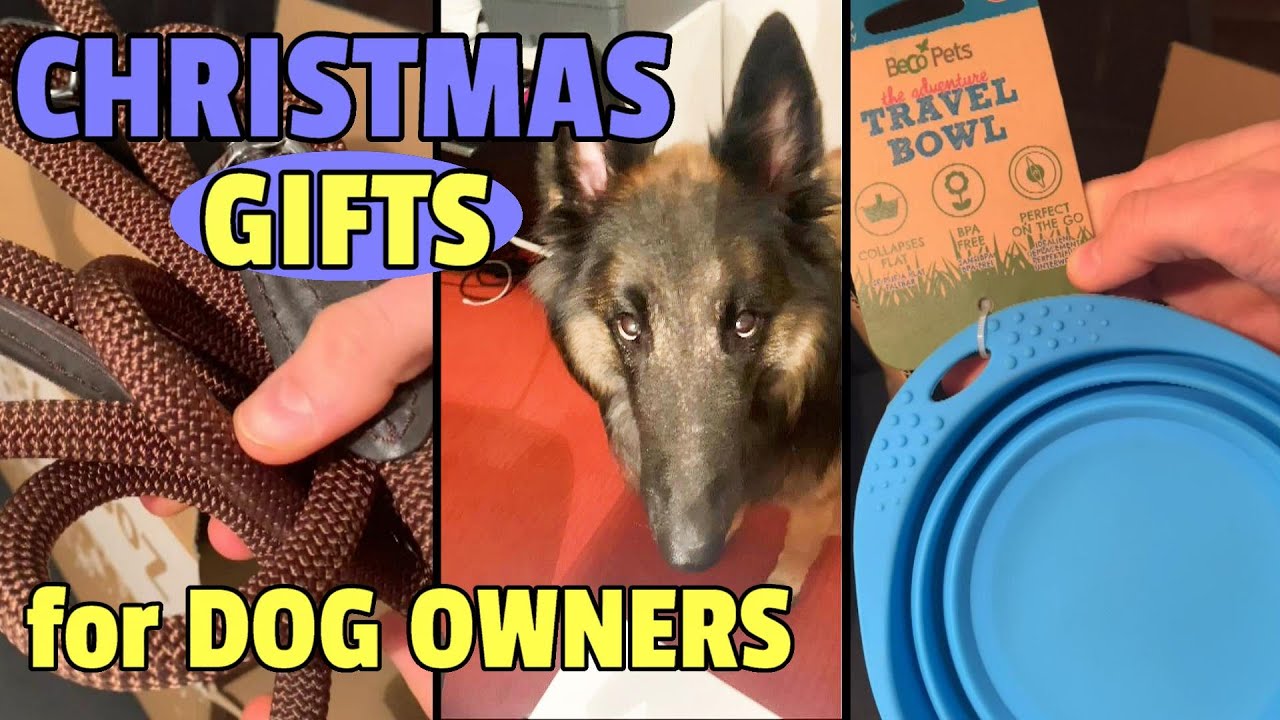 Your Dog Needs these! 4 Best Christmas Gift Ideas for Dog Owners #shorts
