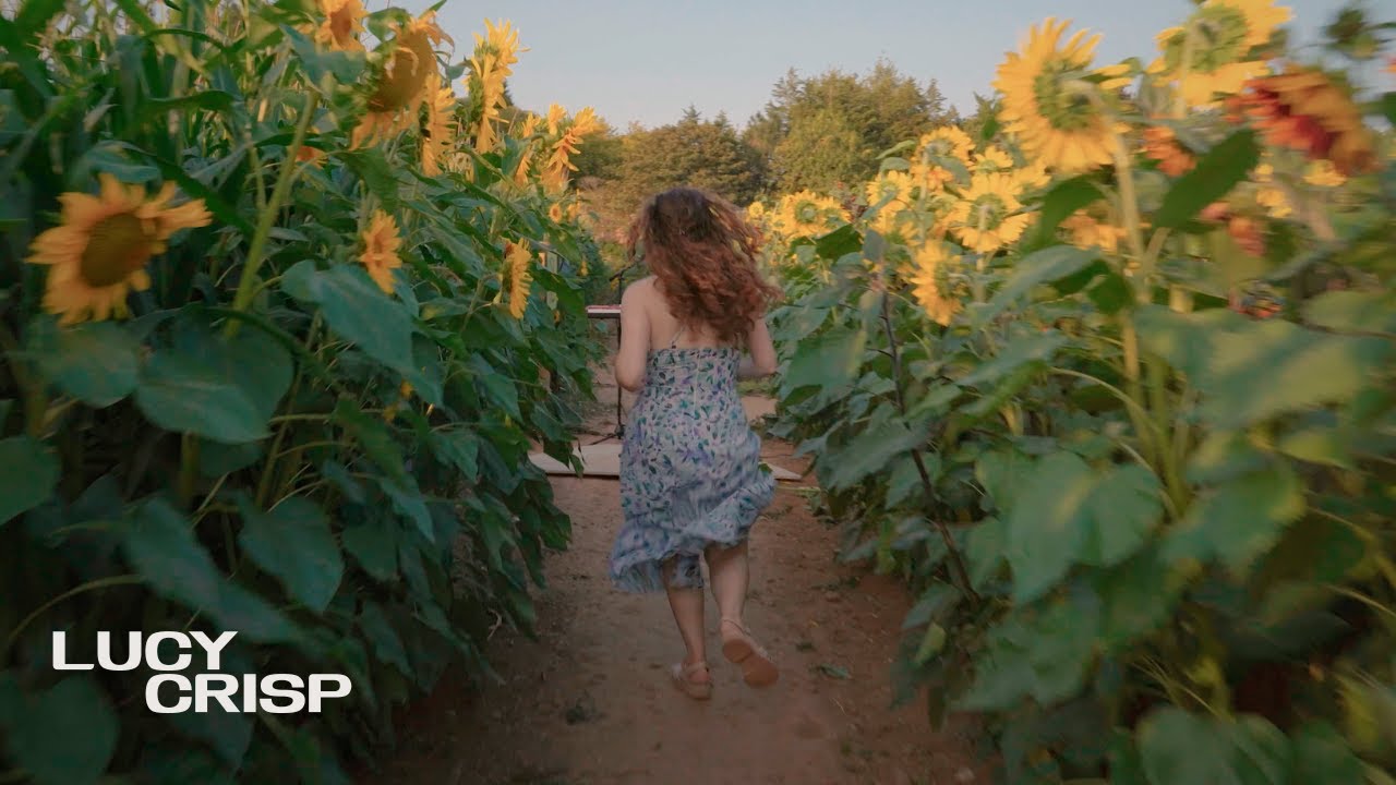 Maze by Lucy Crisp - Live from Maze52