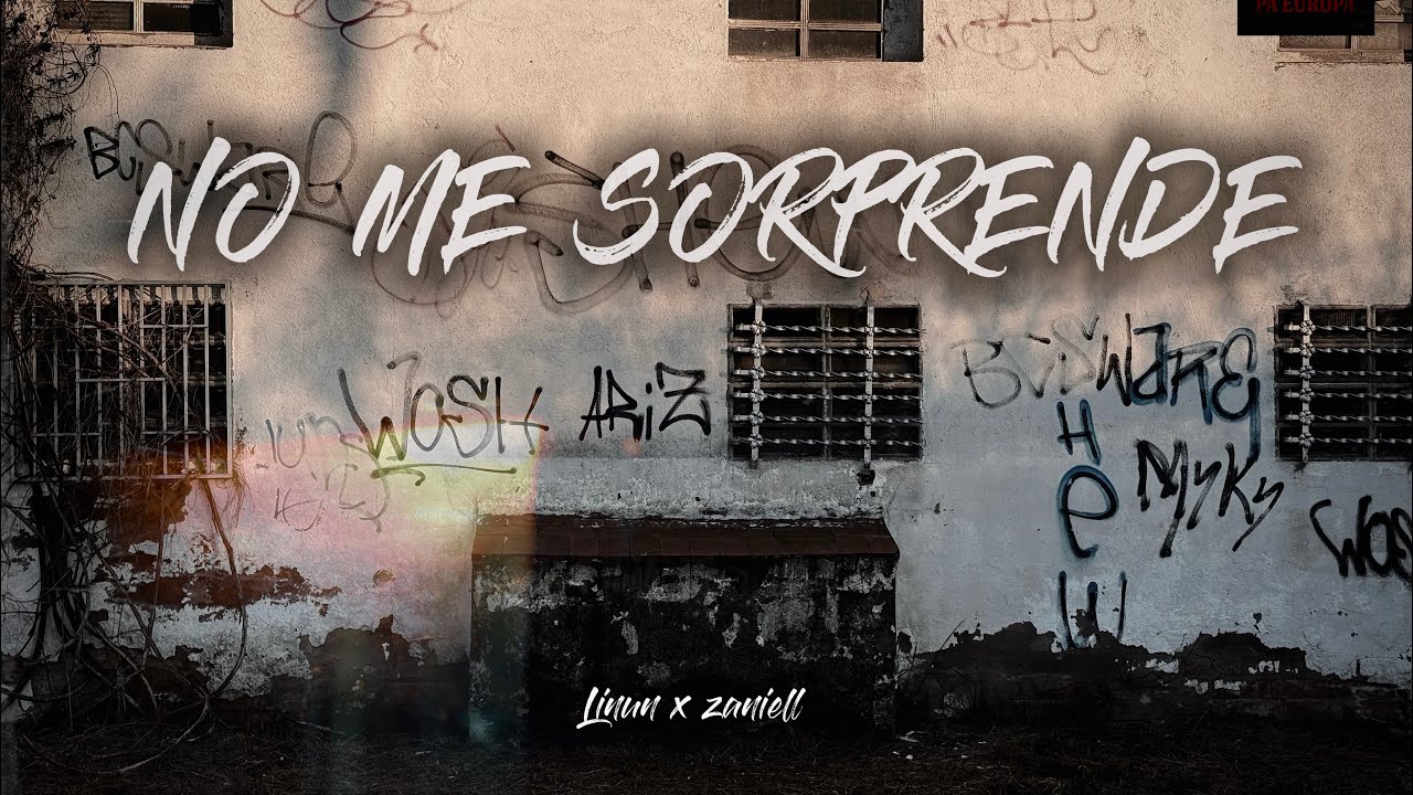NO ME SORPRENDE - LINUN X ZANIELL (VISUALIZER)