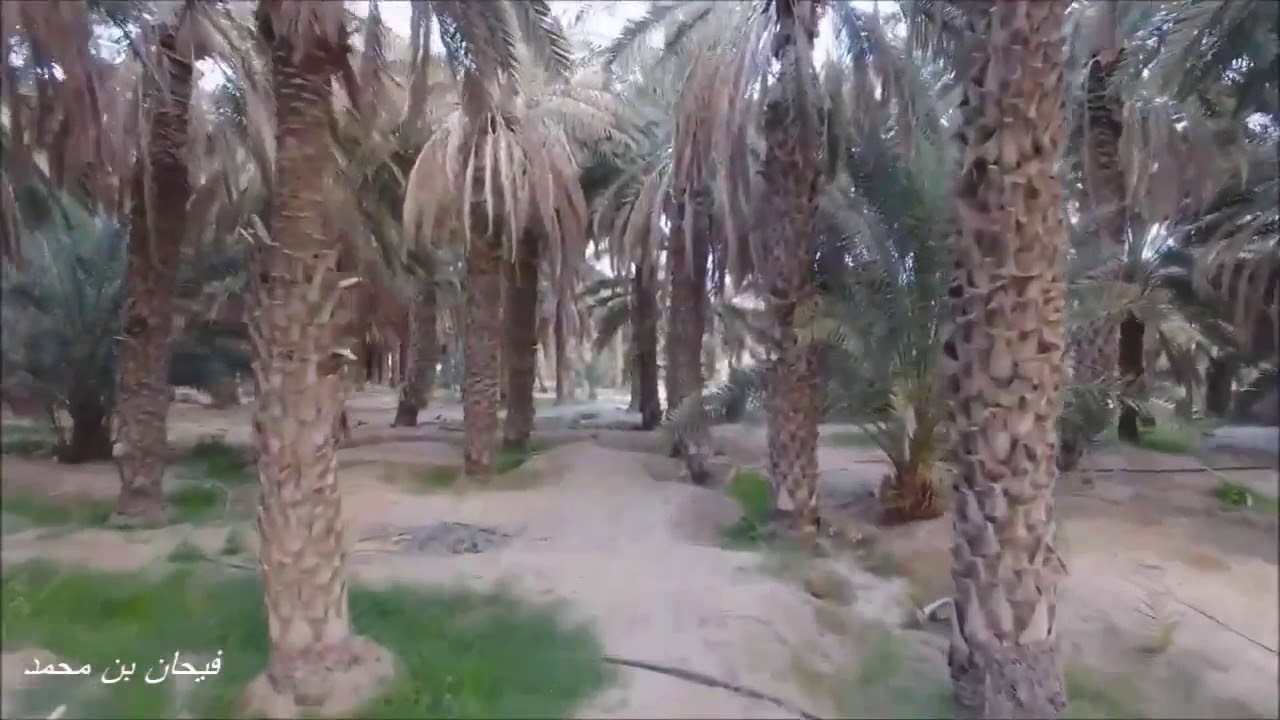 تصوي جوي لمزارع قرى في محافظة رنية