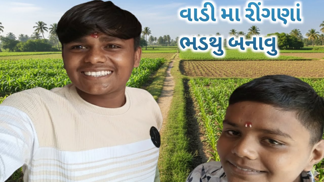 8 February 2026 વાડી મા રીંગણાં ભડથુ બનાવું 