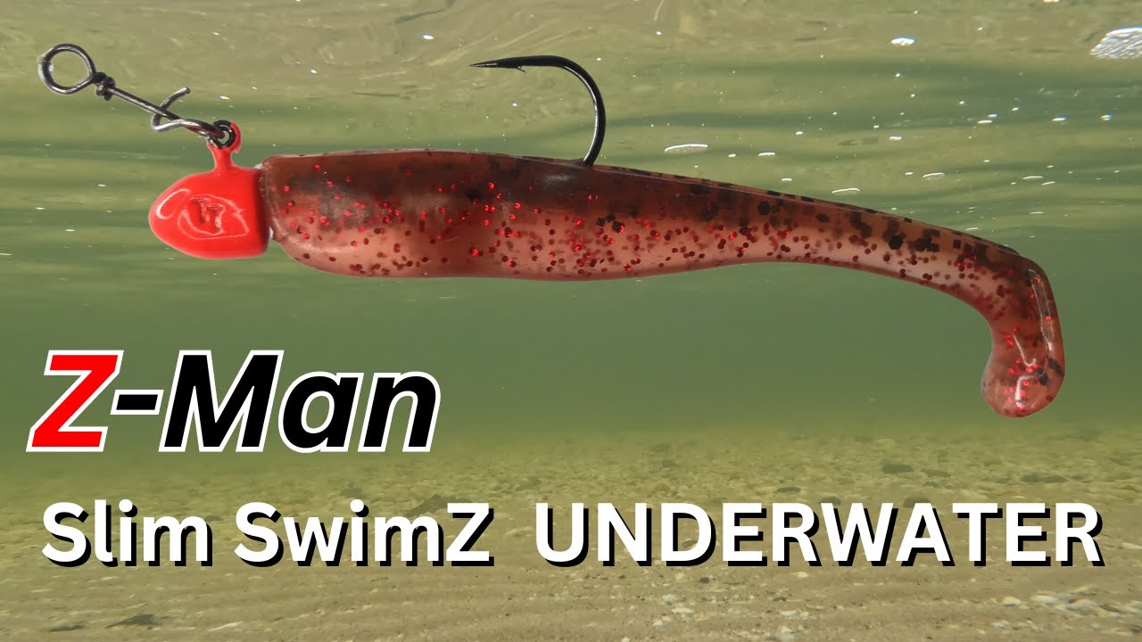 How Does The Z-Man Slim SwimZ Look Underwater? | FISHING | Calico Candy