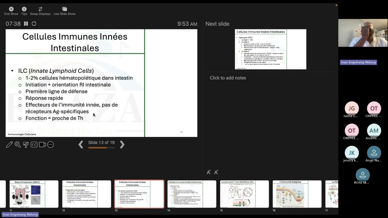 Immunologie Cellulaire_Cours du 110625_V2