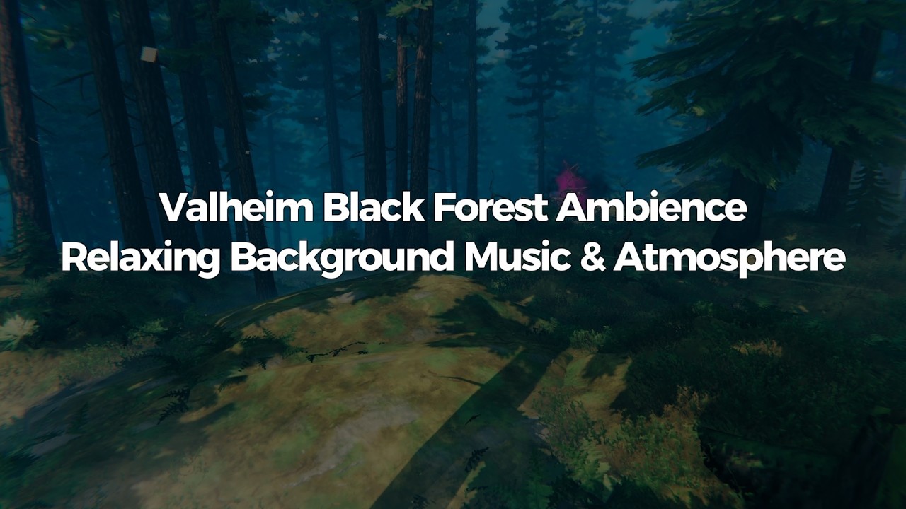 Valheim Black Forest Ambience | Relaxing Background Music & Atmosphere