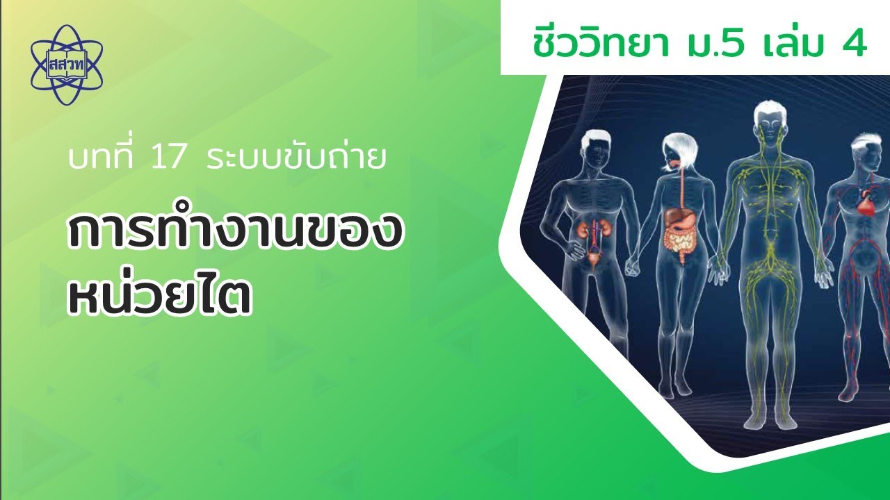 การทำงานของหน่วยไต (ชีววิทยา ม.5 เล่ม 4 บทที่ 17)
