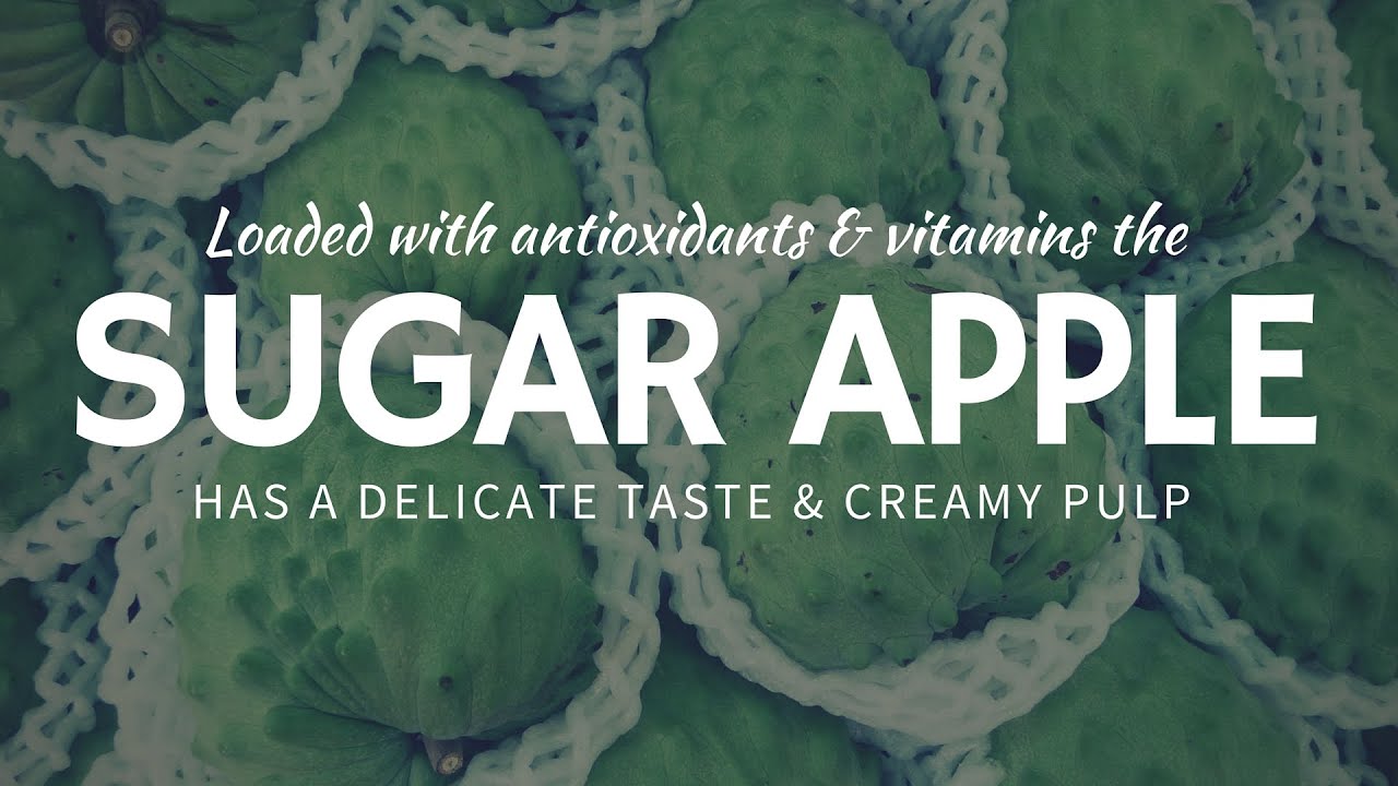 What is a Sugar Apple & Taste of Annona Squamosa