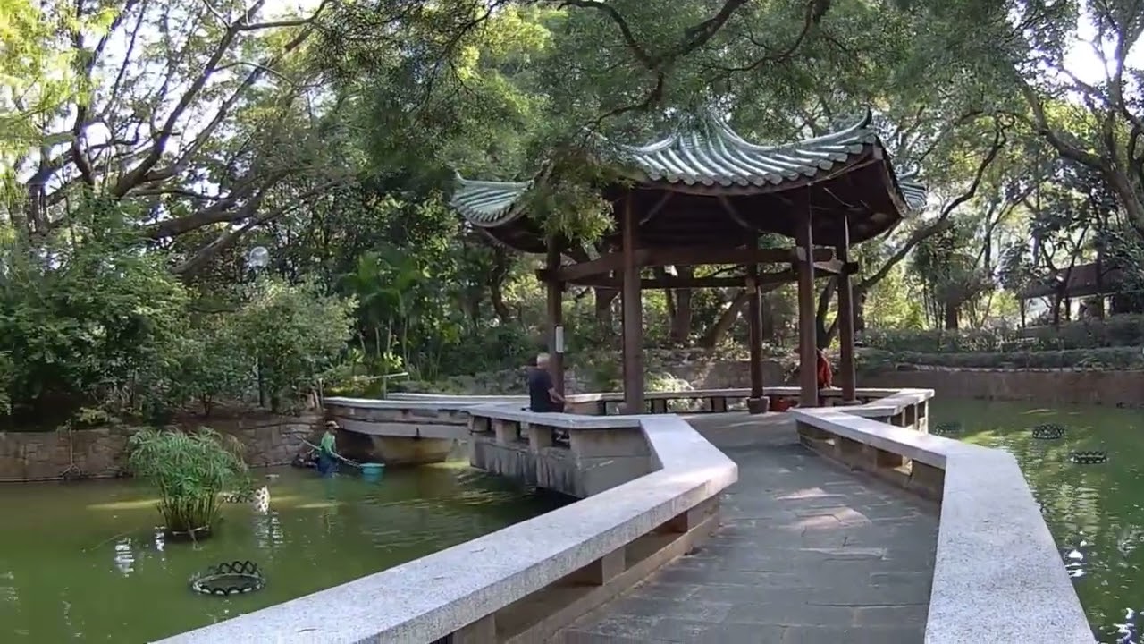 Hong Kong: Kowloon Park & China ferry Terminal view deck