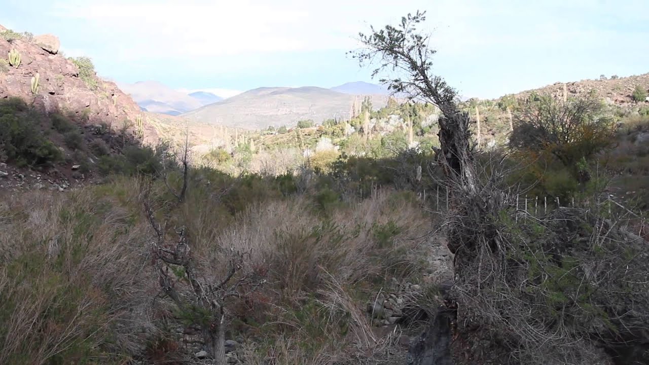 Combarbal&aacute; y su sequ&iacute;a - Matancilla
